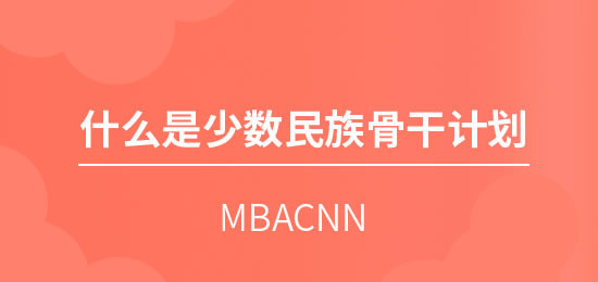 什么是少數民族骨干計劃？